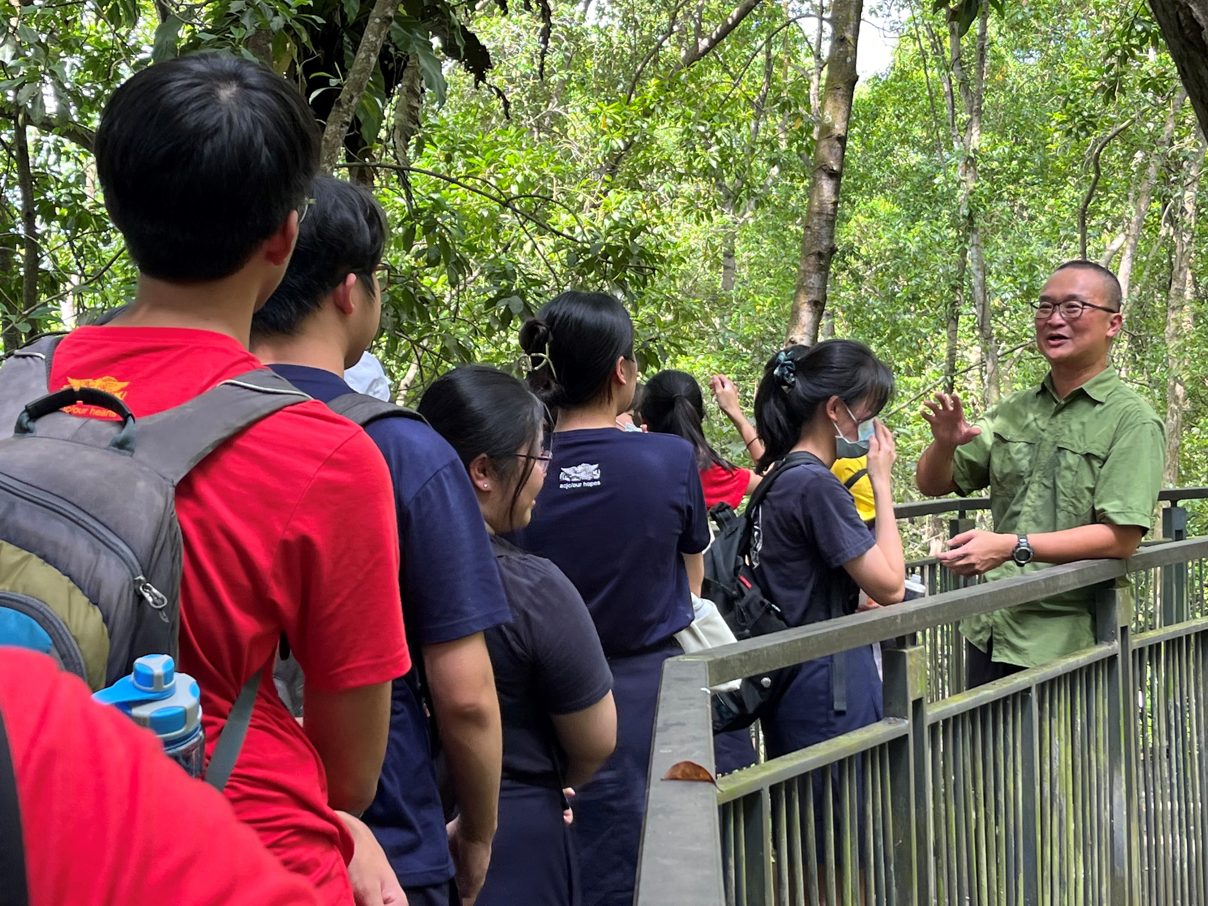 A group of people stands on a fenced walkway in a forest, listening to a person wearing a green shirt.